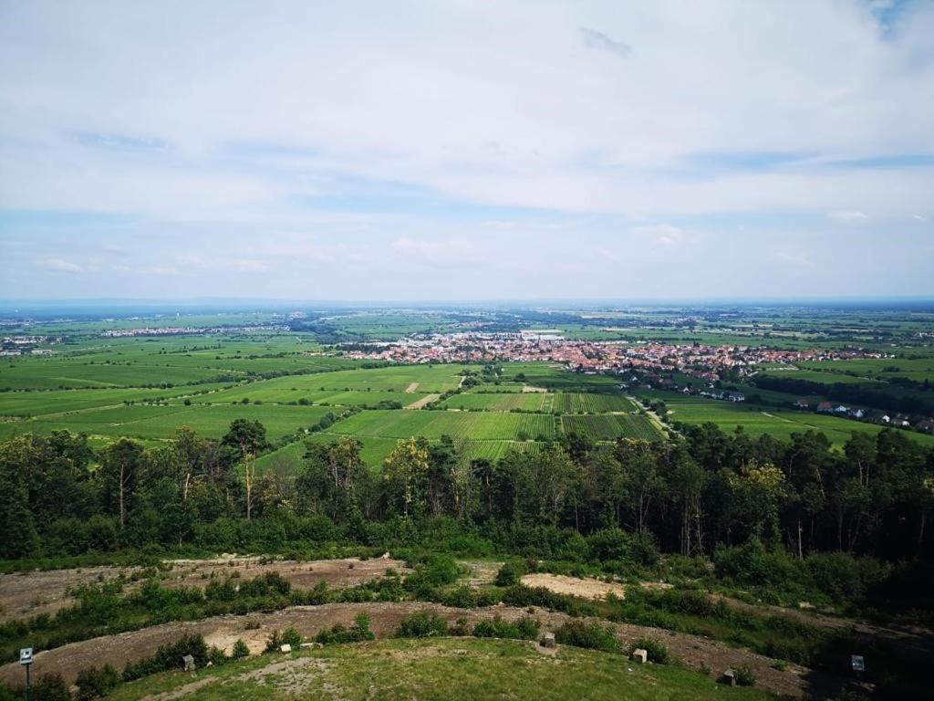 Wohnen Im Herzen Der Pfalz Neustadt an der Weinstraße Kültér fotó